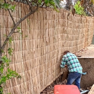 OFERTA TOTORA RUSTICA 2X5MTS